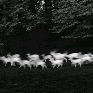 我的小姨黄色疯狂老头玩女人高潮女人
